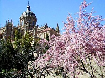 salamanca_catedral.jpg