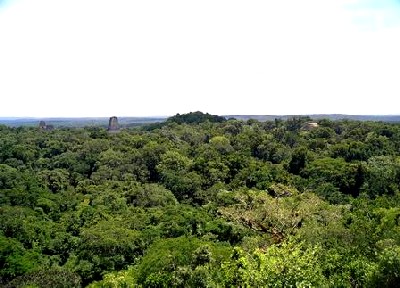 tikal_panorama.jpg